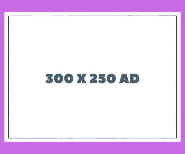 Google search engine